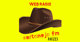 Ouça a rádio Sertanejo FM Raízes online grátis
