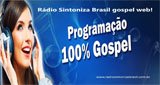 Ouça a rádio Rádio Sintoniza Brasil online grátis