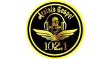 Ouça a rádio Radio Atalaia Gospel online grátis