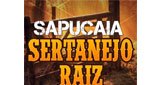 Ouça a rádio Sapucaia sertaneja online grátis