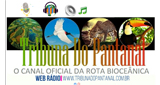 Ouça a rádio Tribuna Do Pantanal online grátis