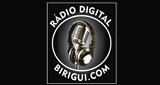 Ouça a rádio Rádio Digital Birigui online grátis