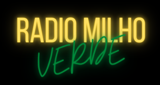 Ouça a rádio Radio do Milho online grátis