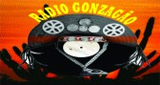 Ouça a rádio Rádio Gonzagão online grátis