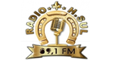 Ouça a rádio H. Sul FM online grátis