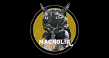 Ouvir rádio online - Rádio Magnólia