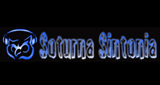 Ouvir rádio online - Soturna Sintonia