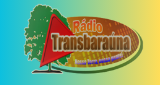 Ouvir rádio online - Rádio TransBarauna 1