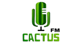 Ouvir rádio online - Rádio Cactus FM