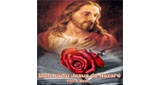 Ouvir rádio online - Rádio Jesus de Nazaré