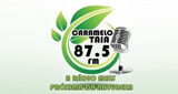 Ouvir rádio online - Rádio Carmelotaia