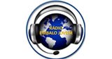 Ouça a rádio Radio Embalo Jovem online grátis
