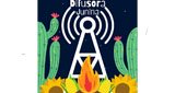 Ouvir rádio online - Difusora Junina