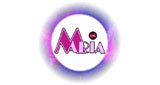 Ouça a rádio Rádio Maria FM online grátis