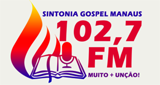 Ouça a rádio Rádio Sintonia Gospel online grátis