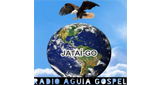 Ouça a rádio Radio Aguia Gospel online grátis