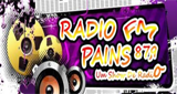 Ouça a rádio Rádio Pains FM online grátis